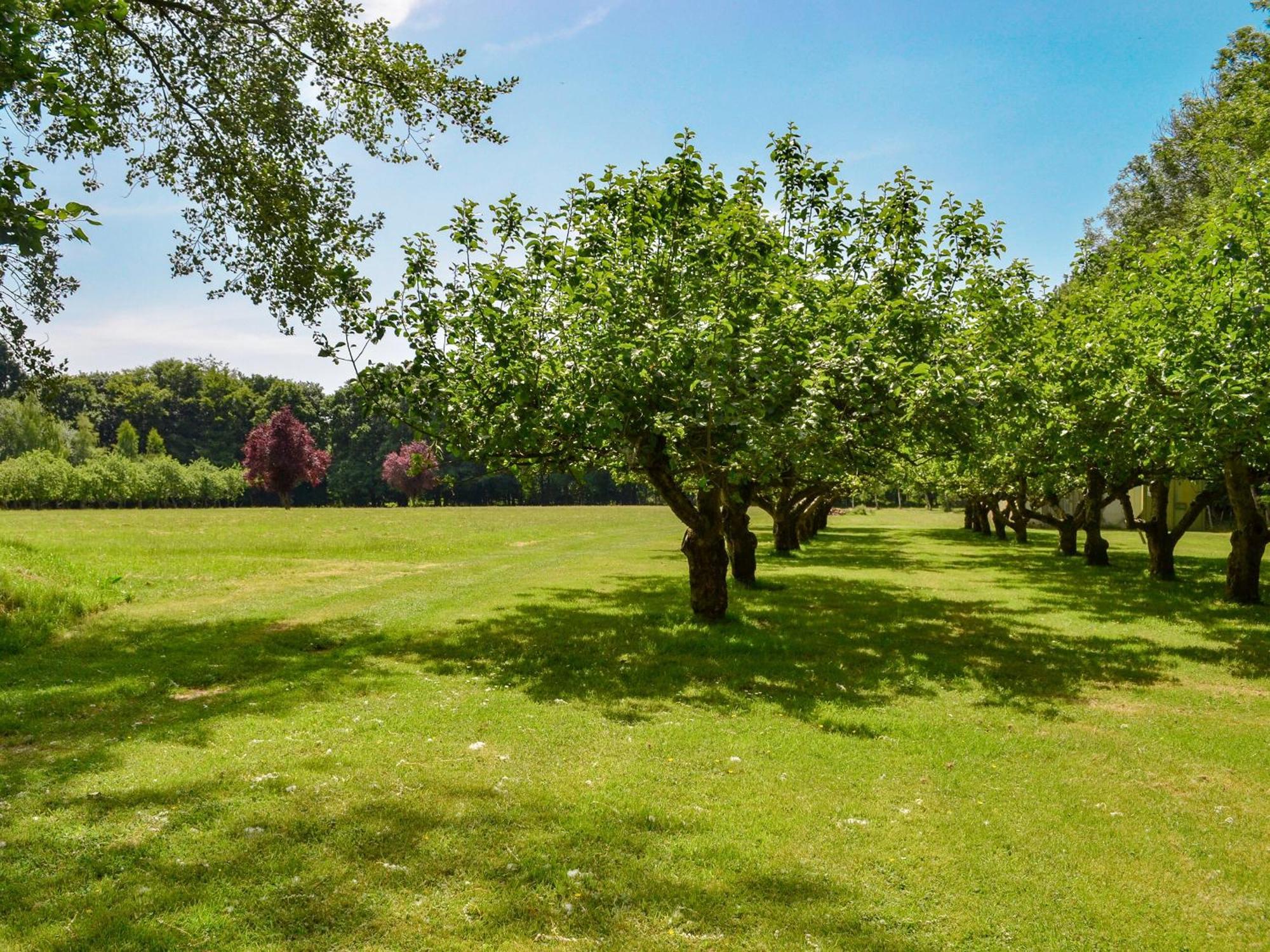 Deer Cottage 2 Uk39332 Biddenden Εξωτερικό φωτογραφία